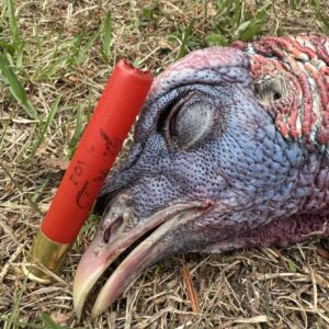 .410 7/8oz. TSS Turkey-3"